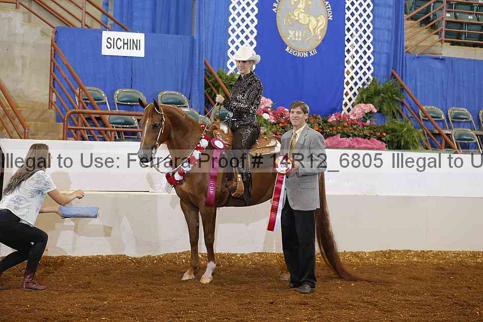 Proof Number 14r12_6805