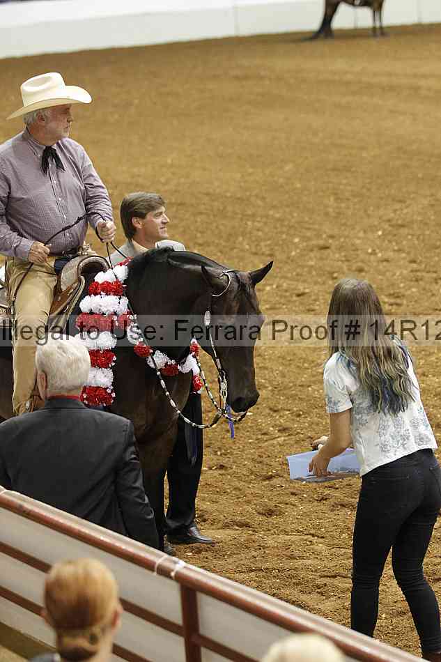 Proof Number 14r12_6810