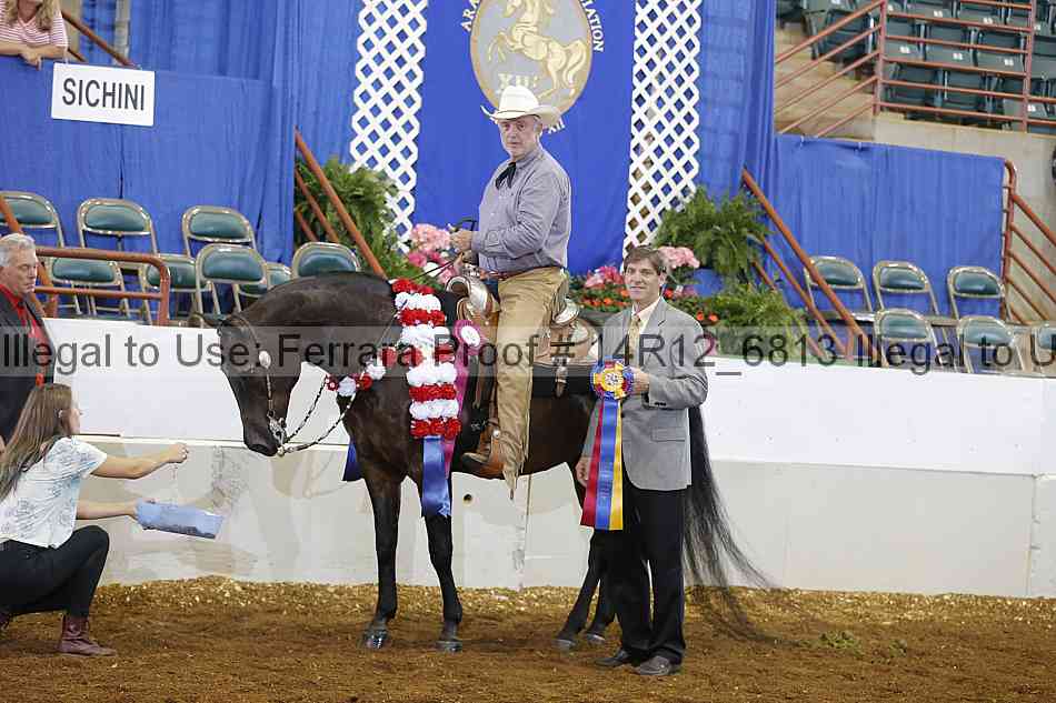 Proof Number 14r12_6813