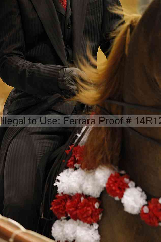 Proof Number 14r12_6864