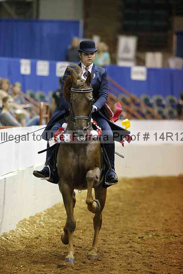 Proof Number 14r12_6872