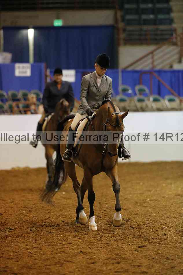 Proof Number 14r12_6890