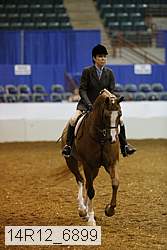 14r12_6899 thumbnail