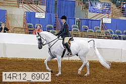 14r12_6902 thumbnail