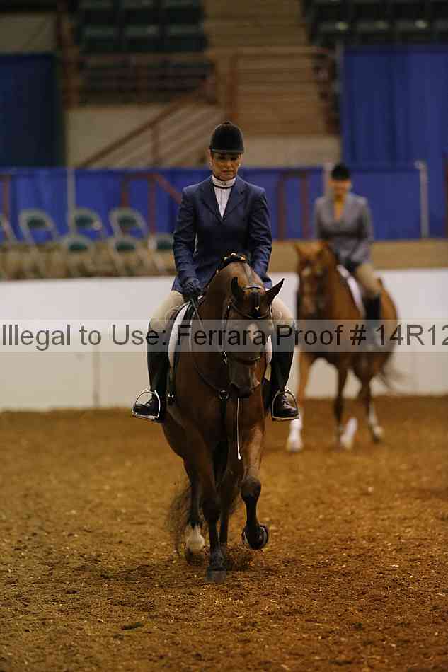 Proof Number 14r12_6903