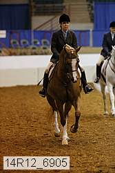 14r12_6905 thumbnail