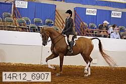 14r12_6907 thumbnail