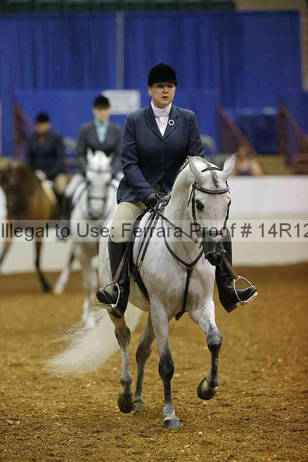 Proof Number 14r12_6909