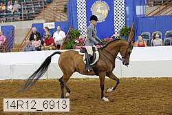 14r12_6913 thumbnail