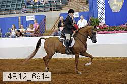 14r12_6914 thumbnail