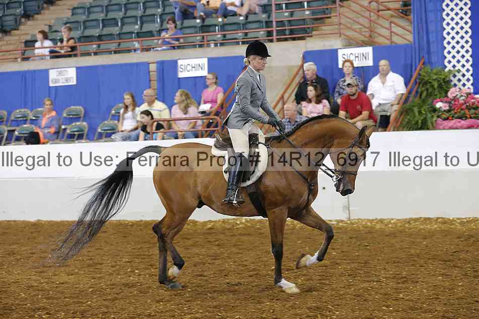 Proof Number 14r12_6917