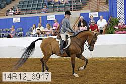 14r12_6917 thumbnail