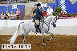 14r12_6919 thumbnail