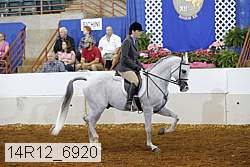 14r12_6920 thumbnail