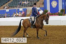 14r12_6921 thumbnail