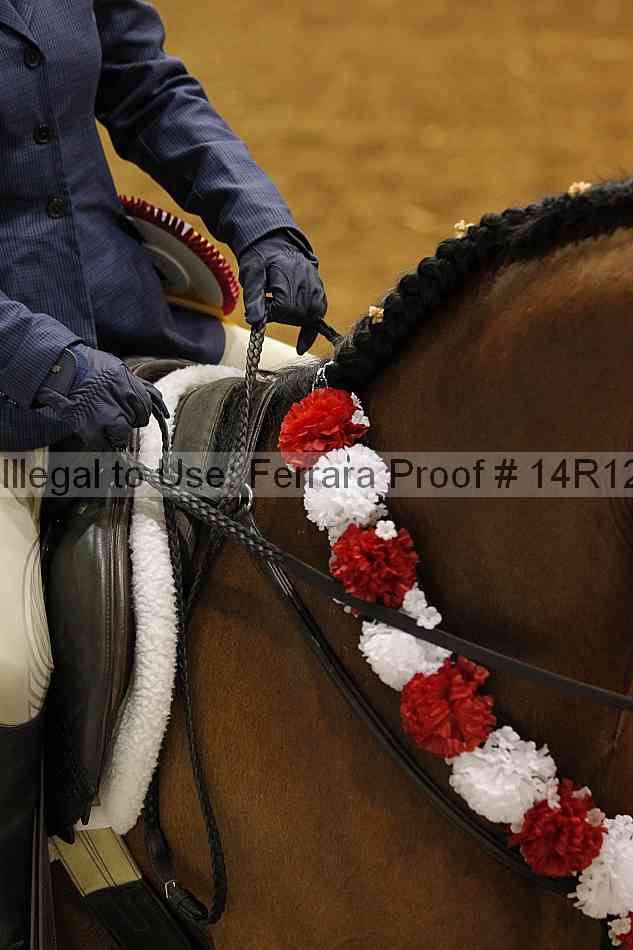 Proof Number 14r12_6926