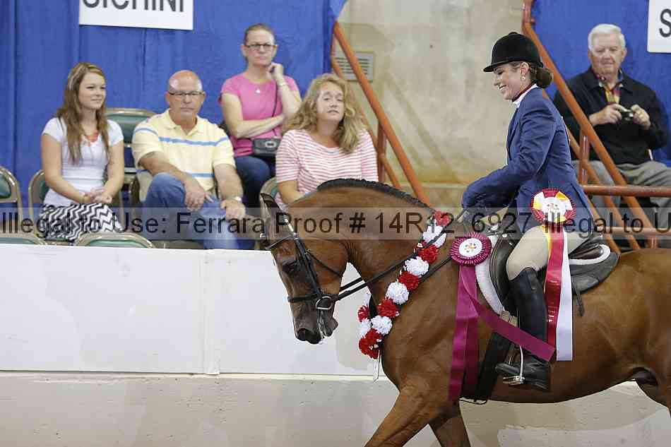 Proof Number 14r12_6927