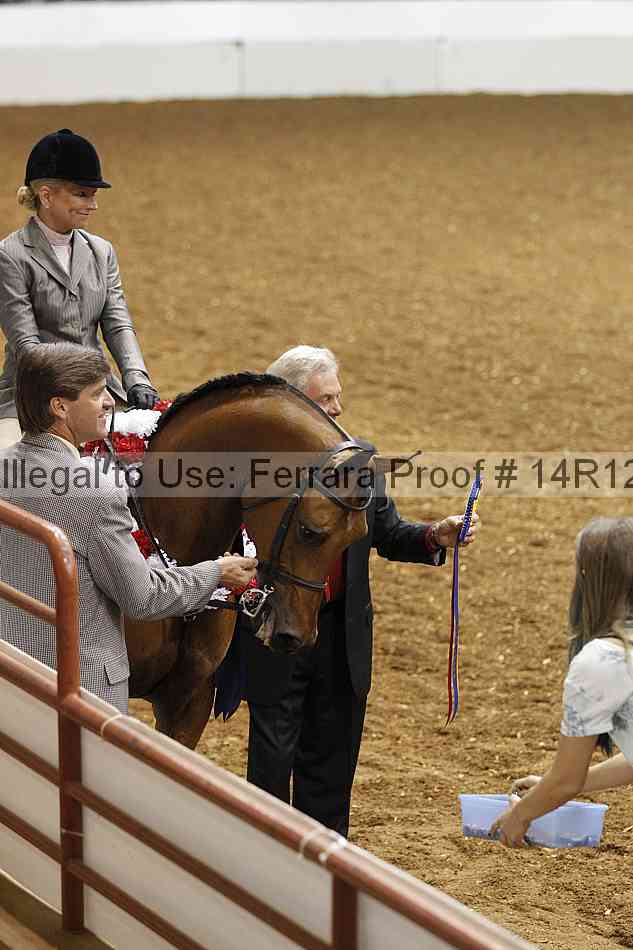 Proof Number 14r12_6929