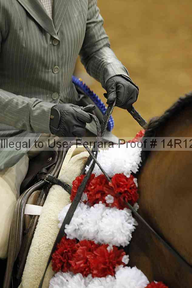 Proof Number 14r12_6933