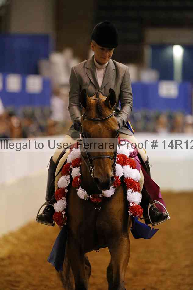 Proof Number 14r12_6956