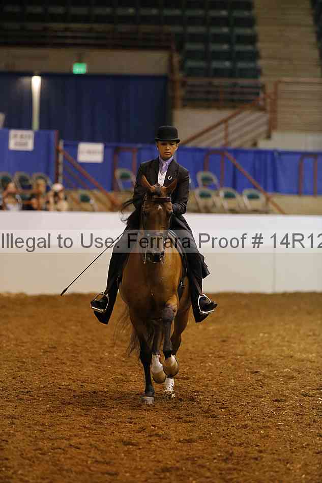Proof Number 14r12_6971