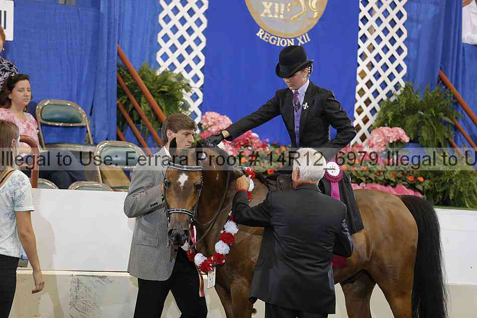 Proof Number 14r12_6979