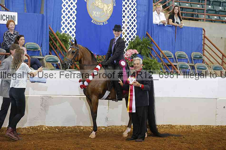 Proof Number 14r12_6981