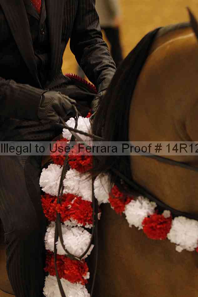 Proof Number 14r12_6994