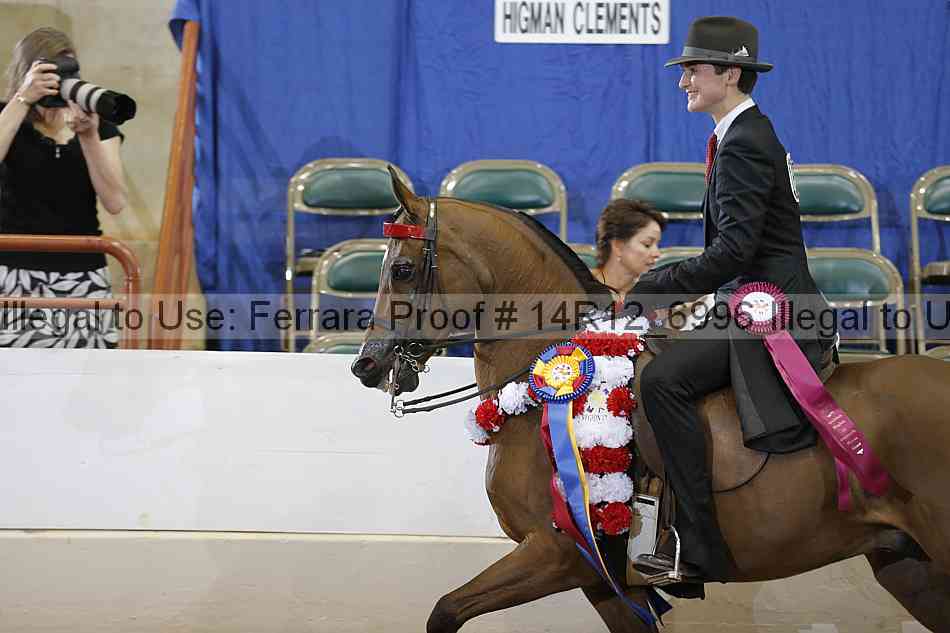 Proof Number 14r12_6996