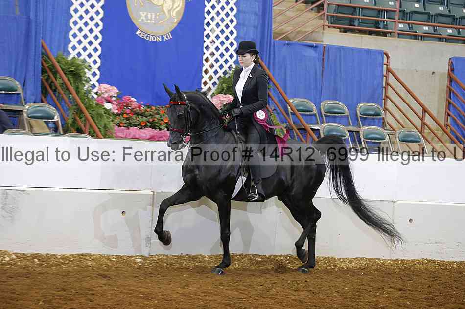 Proof Number 14r12_6999