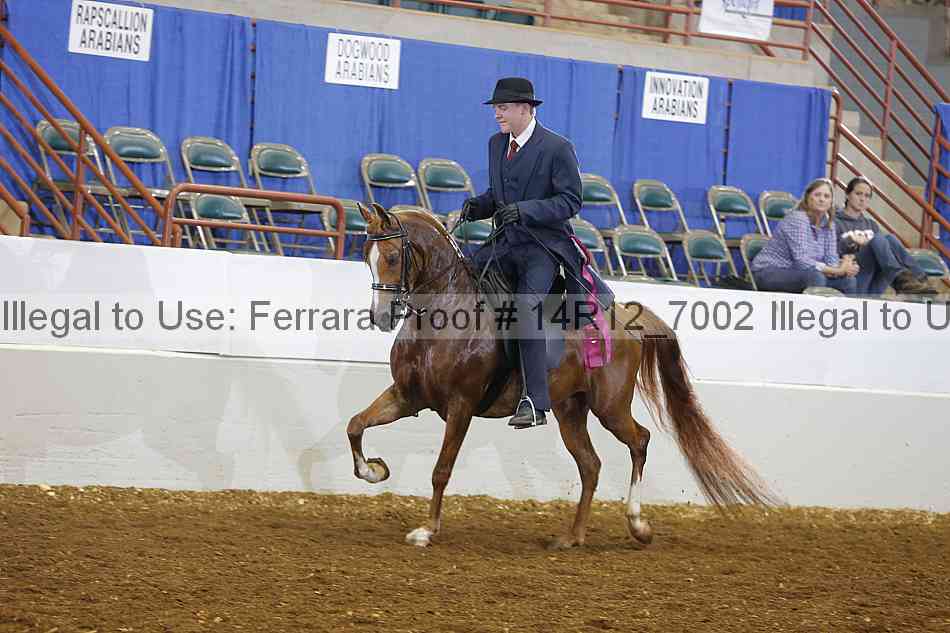 Proof Number 14r12_7002