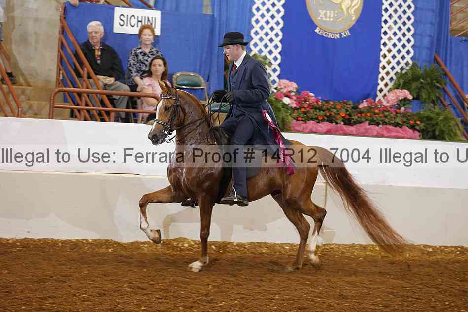 Proof Number 14r12_7004