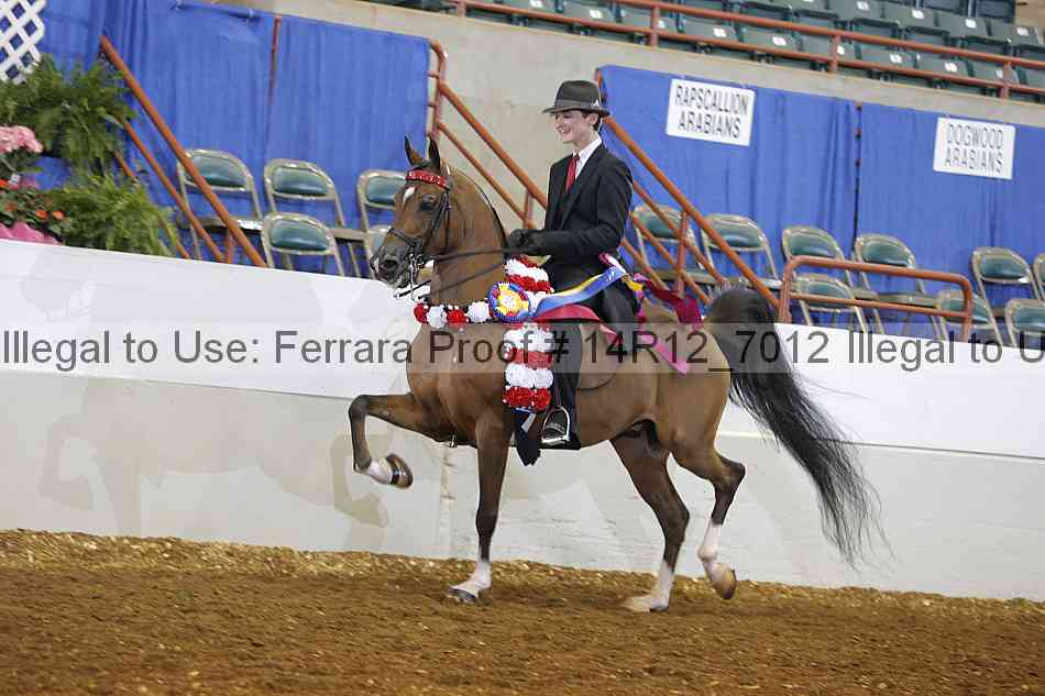 Proof Number 14r12_7012