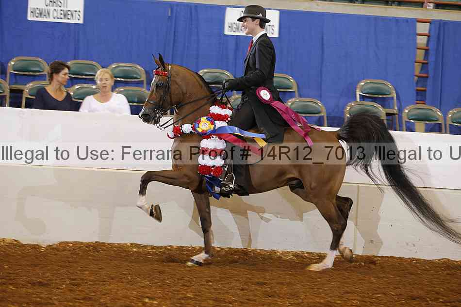 Proof Number 14r12_7013
