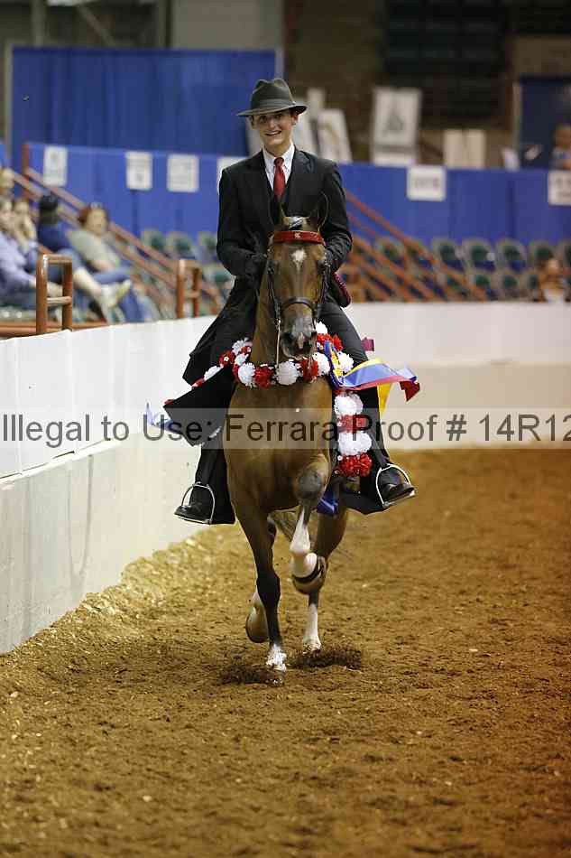 Proof Number 14r12_7015