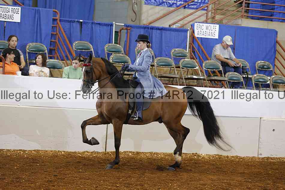 Proof Number 14r12_7021