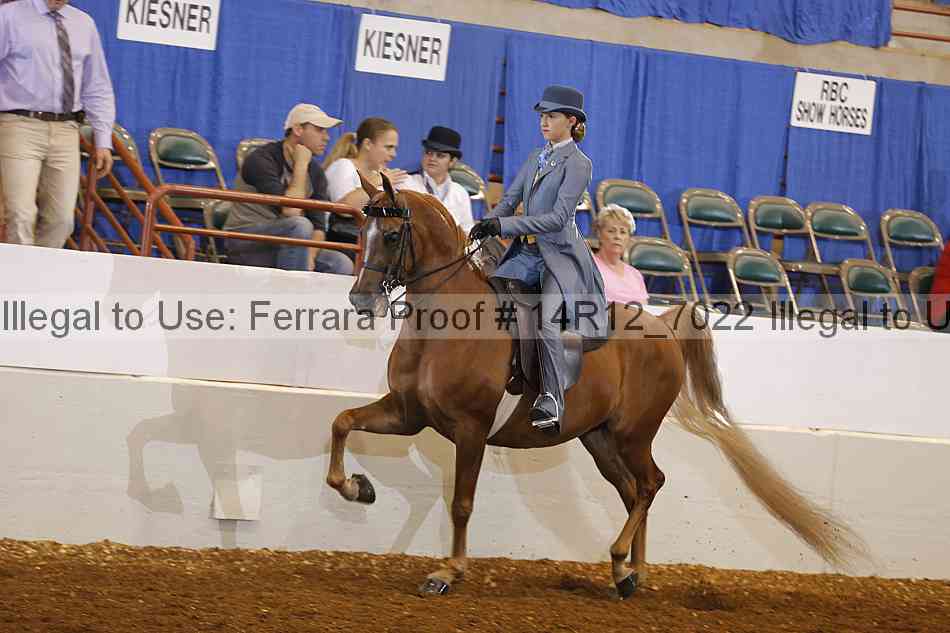 Proof Number 14r12_7022