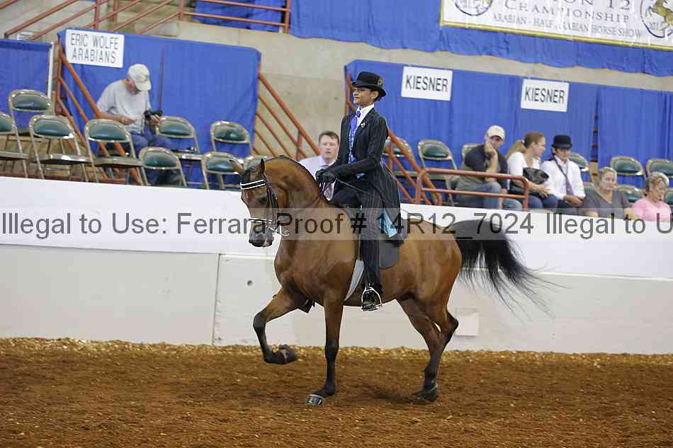 Proof Number 14r12_7024