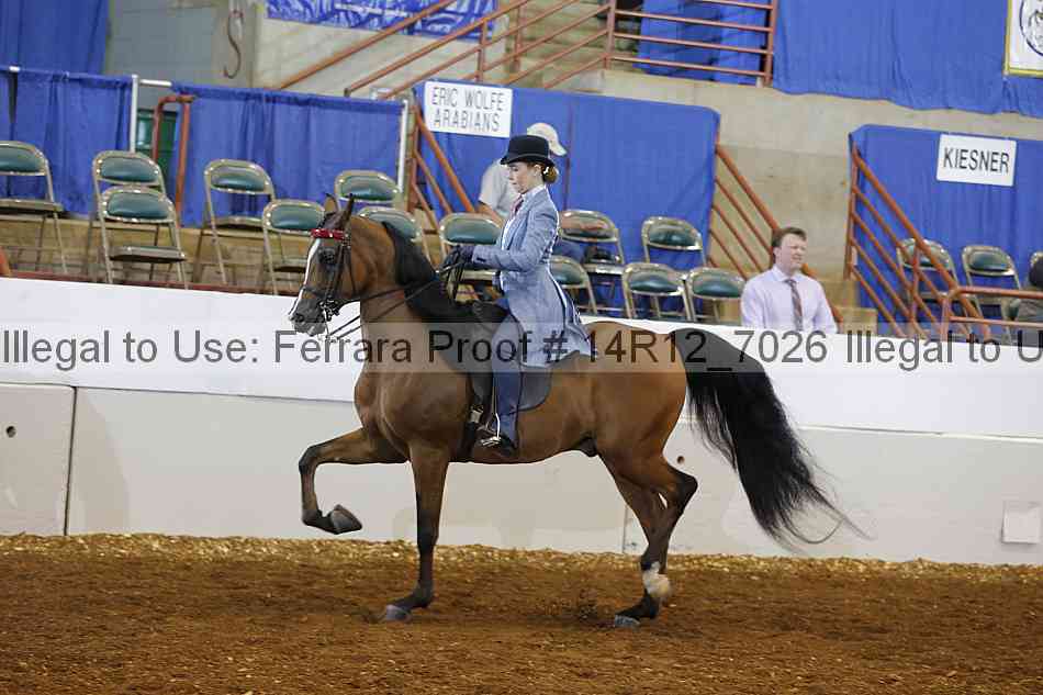 Proof Number 14r12_7026