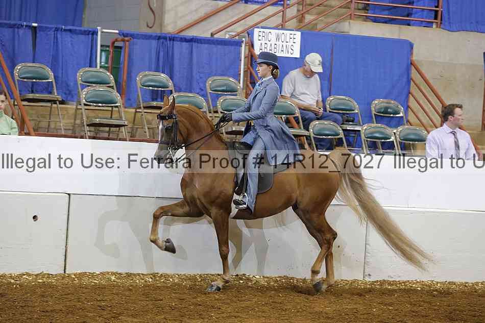 Proof Number 14r12_7027