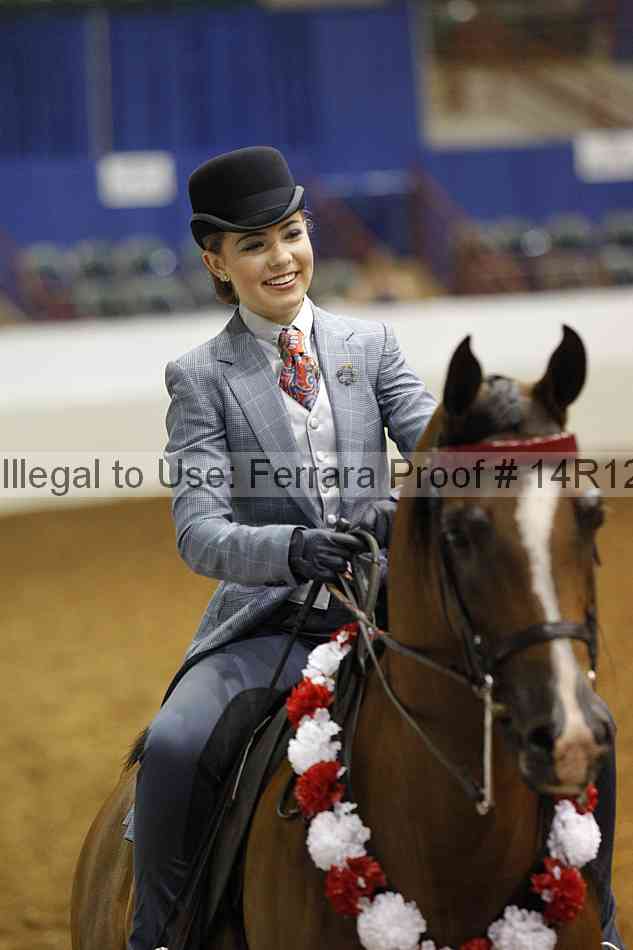 Proof Number 14r12_7033