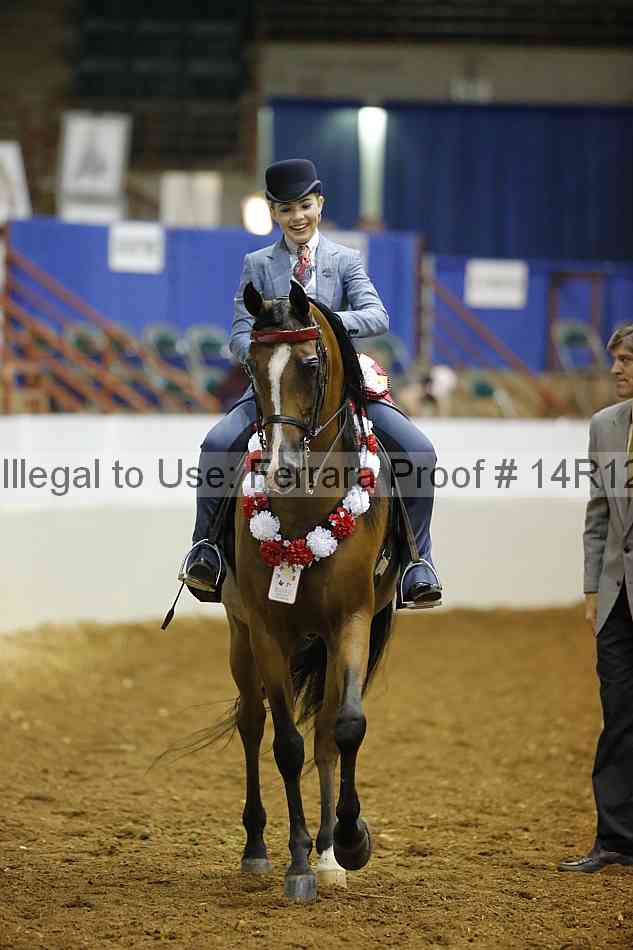 Proof Number 14r12_7039