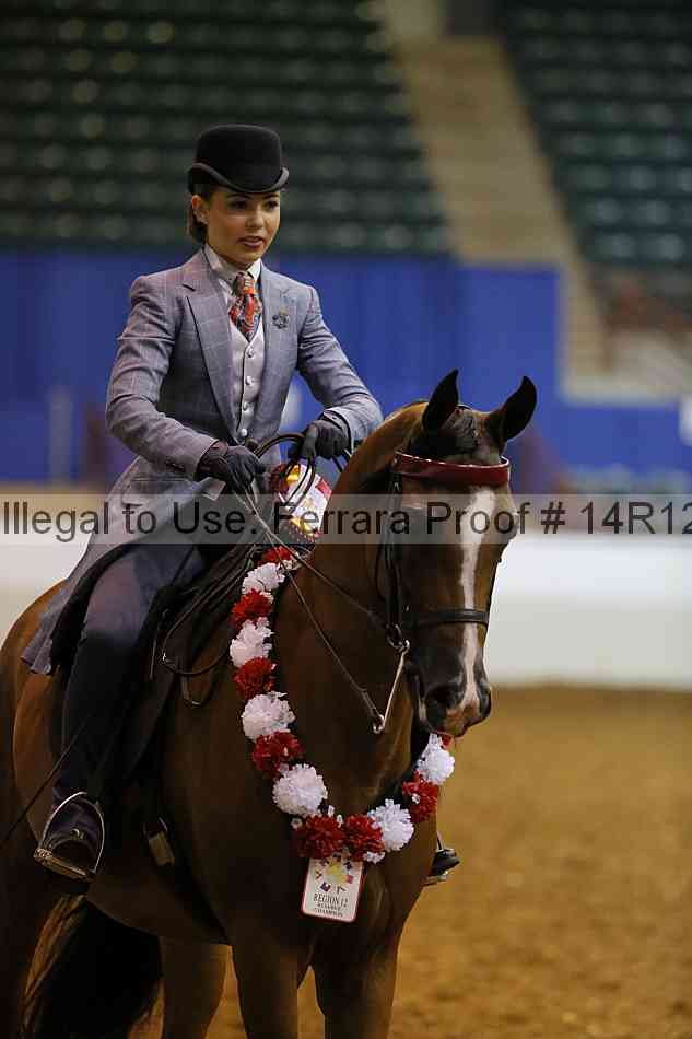 Proof Number 14r12_7042