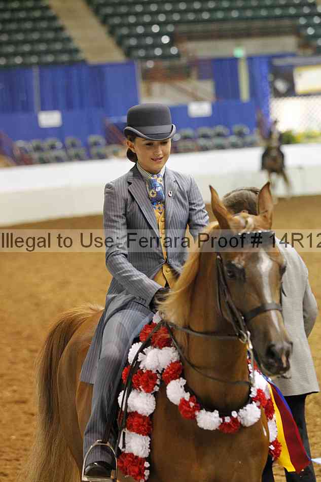 Proof Number 14r12_7048