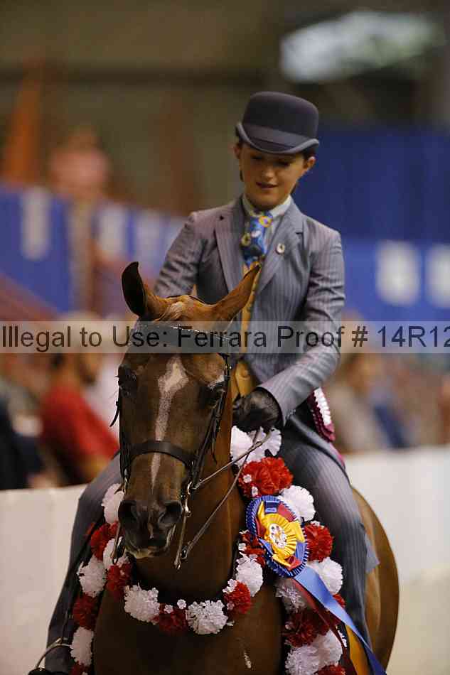 Proof Number 14r12_7051