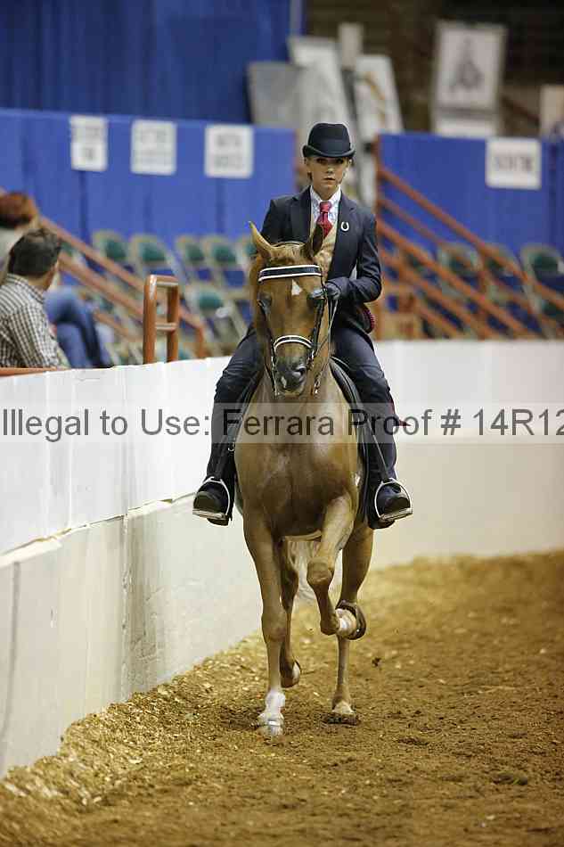 Proof Number 14r12_7055