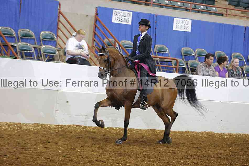 Proof Number 14r12_7056