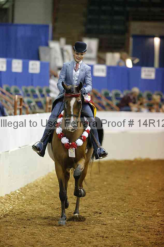 Proof Number 14r12_7062