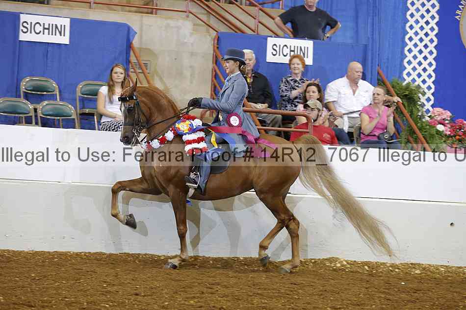 Proof Number 14r12_7067