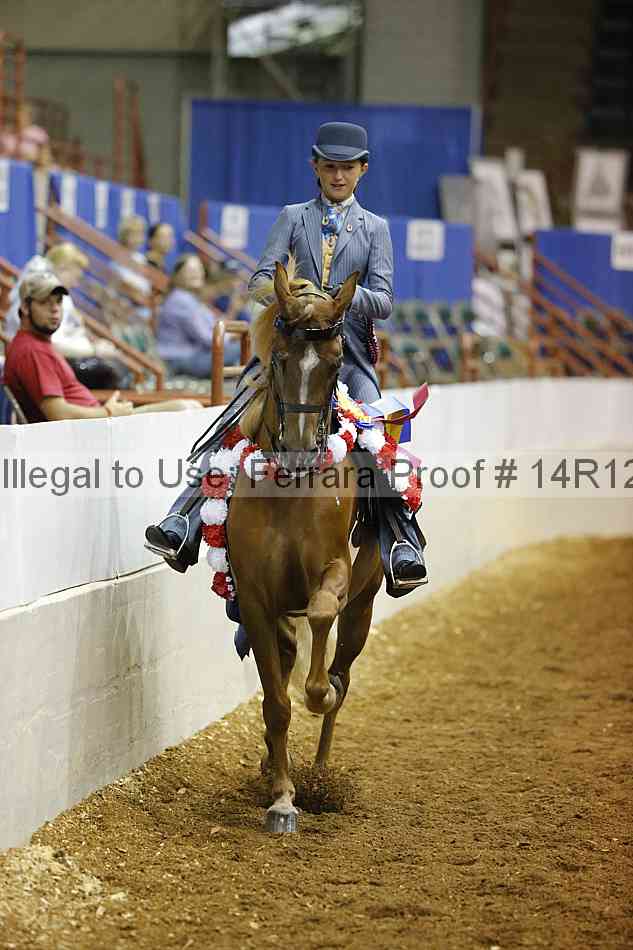 Proof Number 14r12_7070